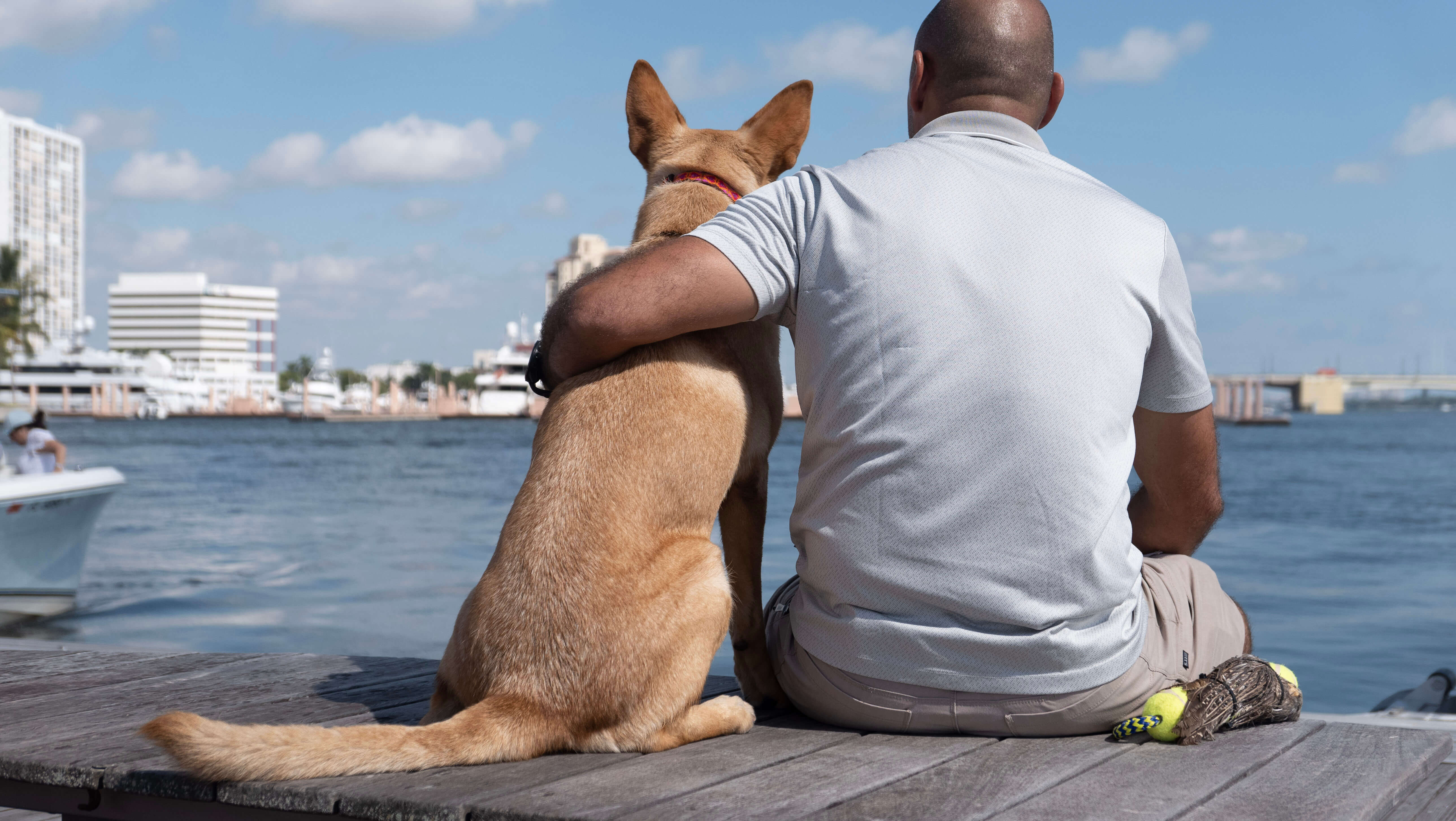 Drop Off Scheduler ORA Dog Training Obedience & Off Leash Training