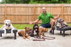 Trainer conducting a group obedience class with a diverse mix of dogs in South Florida.