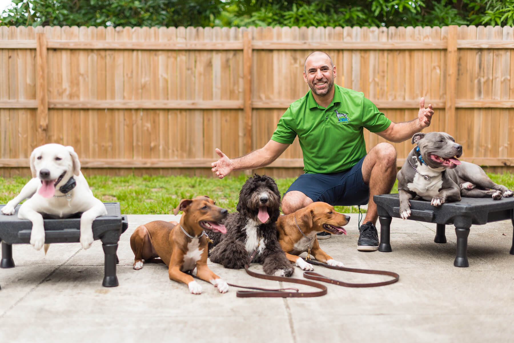 dog trainers home visits