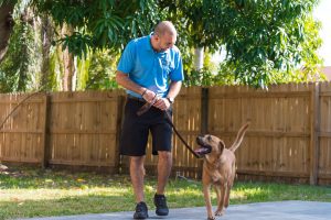 Training session with a joyful dog, showcasing the bond between dog and trainer in South Florida.